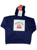 A Great Nation USA Hoodie Sweatshirt - RIGHTEOUS RULE