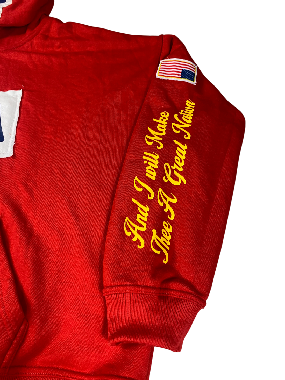 A GREAT NATION USA HOODIE SWEATSHIRT